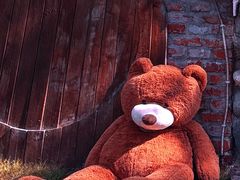 -HERRE·FARM 赫尔露营农场·团建聚会包场