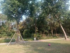 -上海海湾国家森林公园