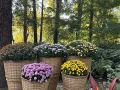 -共青国家森林公园-售票处