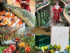 -正佳雨林生态植物园
