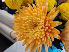 -南堂馆·新川菜(春熙路店)