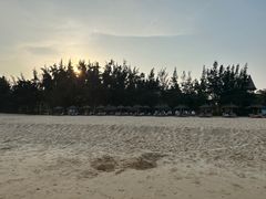 -海南清水湾莱佛士酒店