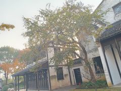 -巡塘古镇