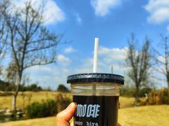 -两河城市森林公园