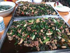 -铁山坪森林公园