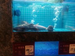 -潮州府·潮菜·砂锅粥(徐家汇店)