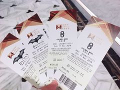 -影汇之星8字形摩天轮
