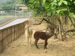 -李小龙乐园(顺德均安店)