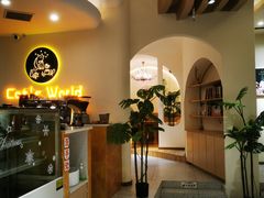 -猫域·湾主题猫咖·宠物吧(南坪城市广场店)
