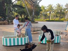 -三亚海昌梦幻海洋不夜城