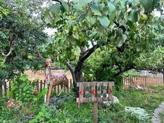 -丽泽山庄·生态怀柔菜·虹鳟鱼(红螺寺店)