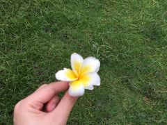 -胡志明市美术馆