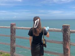 -广东惠东海龟国家级自然保护区