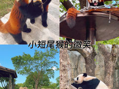-上海野生动物园