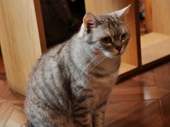 -隅cafe(傅厚岗店)