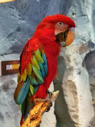 -Zoolung Zoolung动物主题公园(海信广场店)