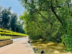 -宝安西湾红树林湿地公园