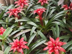 -北京植物园-展览温室