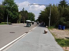 -日照海滨国家森林公园