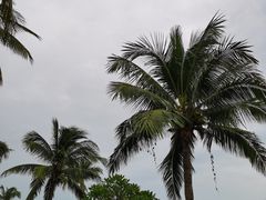 -三亚亚龙湾五号度假别墅酒店