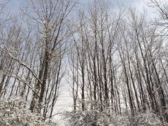 -太子岭滑雪场