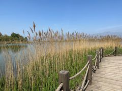 -野鸭湖国家湿地公园