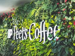 -Peet's Coffee皮爷咖啡(大学路店)
