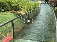 -碧水峡漂流