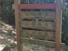 -火炉山森林公园