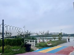 -大兴滨河森林公园