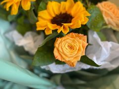 -满天星幼儿园(北京太阳宫园)