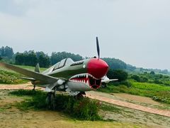 -空港花田景区