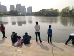 -新江湾城公园