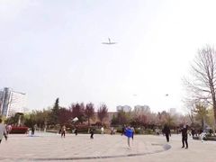 -英孚教育青少儿(高新公园茂中心)