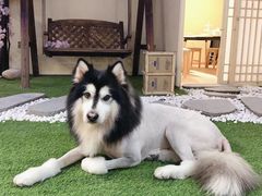 -白兔子密室(长寿路店)