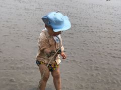 -南汇嘴观海公园