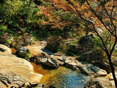 -大岭沟猕猴桃谷风景区