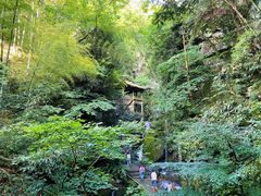 -藏龙百瀑风景区