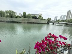 -听香·678茶铺(猛追湾店)