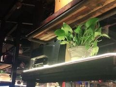 -探鱼·鲜青椒爽麻烤鱼(三水广场店)