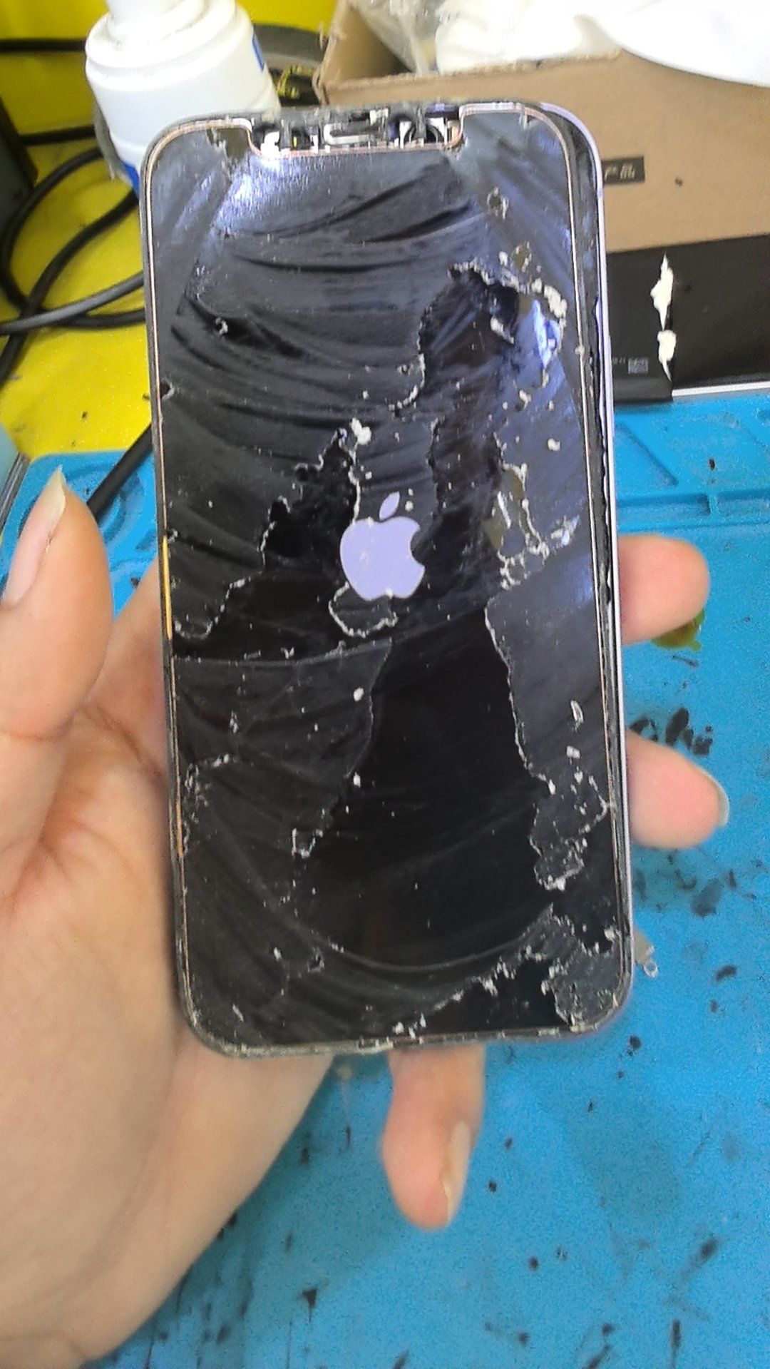 苹果12更换外屏#精品二手手机#手机维修