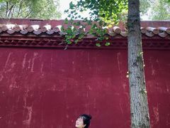 -南岳衡山风景名胜区-南岳大庙