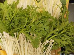 -蝎王府羊蝎子(北大地店)