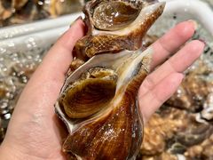 -苏大嘴蒸汽海鲜·海胆蒸饺(中山广场店)