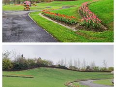 -花开海上生态园