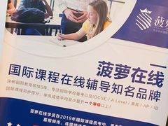 -菠萝国际教育专注Alevel·IGCSE·IB·AP·托福雅思培训辅导(静安校区)