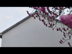 -龙坞茶村