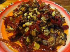 -柴窝堡22号辣子鸡·传承新疆菜