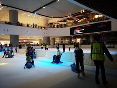 -TheRink大零溜冰场(IFS国金中心店)