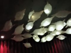 -麥坊俱樂部Maltfun Club